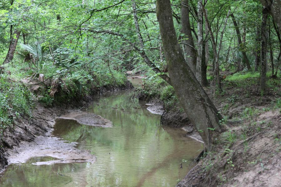 Natural surroundings and green spaces near Texas Grand Ranch in Huntsville, TX (Image 8).