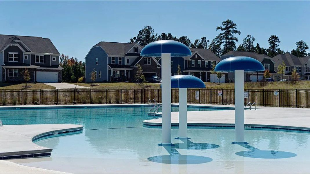 Community amenity available to residents of Falls Cove at Lake Norman: Falls Cove at Lake Norman - Phase 1 in Troutman (Image 3).