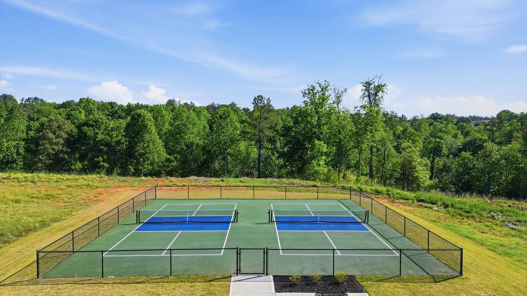 Pickleball Courts