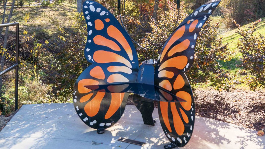 Image 30 of the Brantley community in Mooresville, NC.