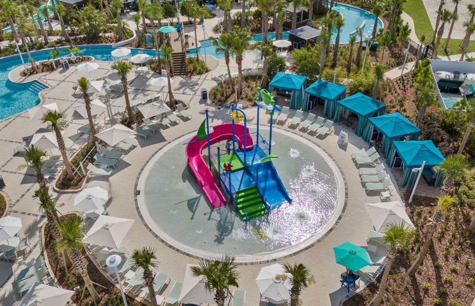 Fun for the Whole Family Fun for the Whole Family