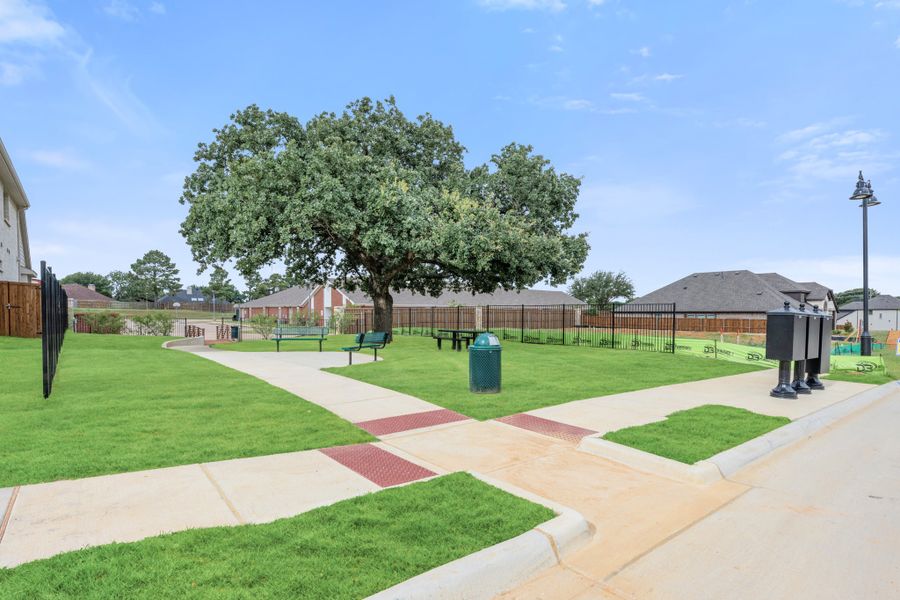 Community park with large shade tree, benches, walking paths, and fenced green lawn area Community park with large shade tree, benches, walking paths, and fenced green lawn area