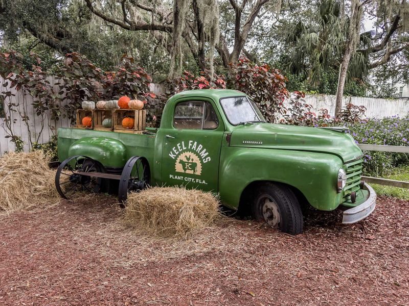 Image 10 of the Southwind – Classic Series community in Plant City, FL.