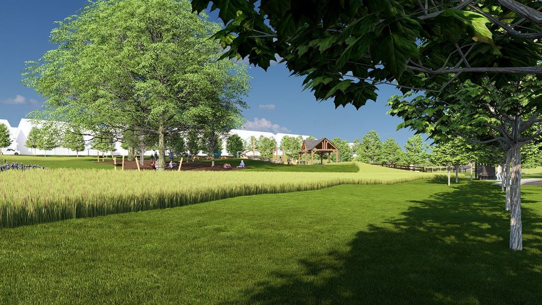 Natural surroundings and green spaces near Preserve at Mayes Meadow in Cornelius, NC (Image 17).