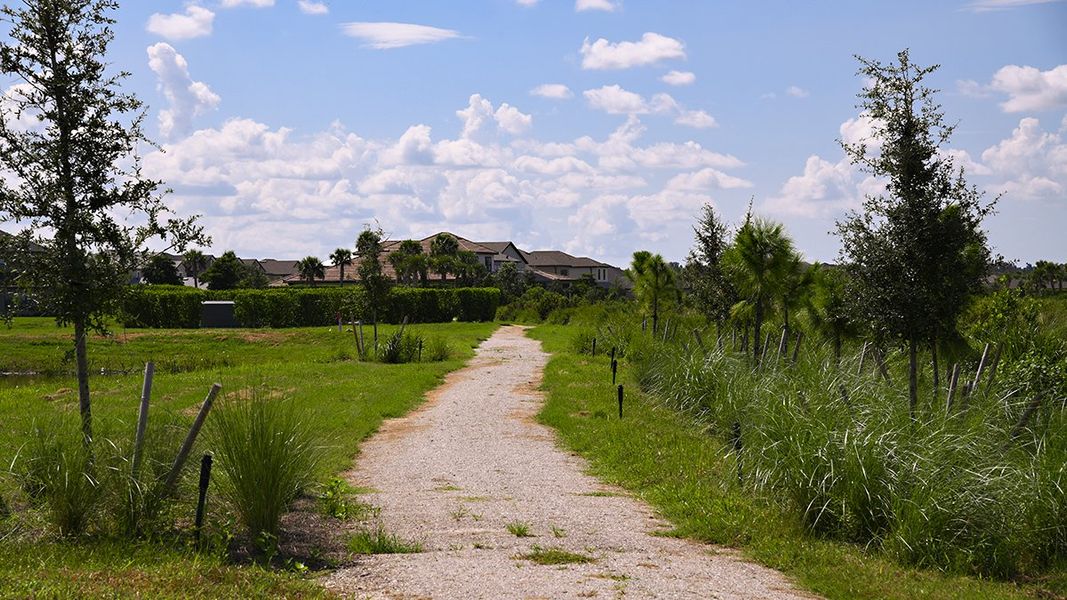 Natural surroundings and green spaces near The Townhomes at Skye Ranch in Sarasota, FL (Image 96).