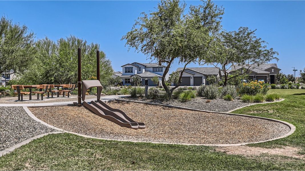 Iron Wing Windrose Amenity Playground 3of3