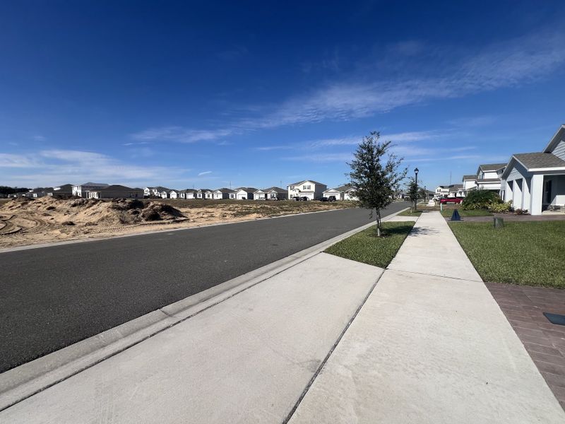 A serene street view featuring modern homes under blue skies in Laurel Glen by Ryan Homes (Haines City, FL).