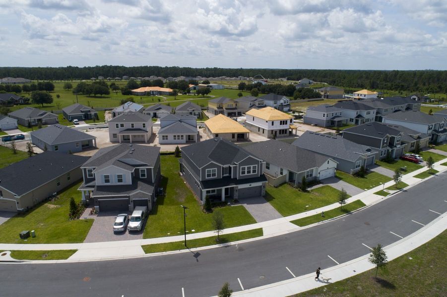 Streetscape Streetscape