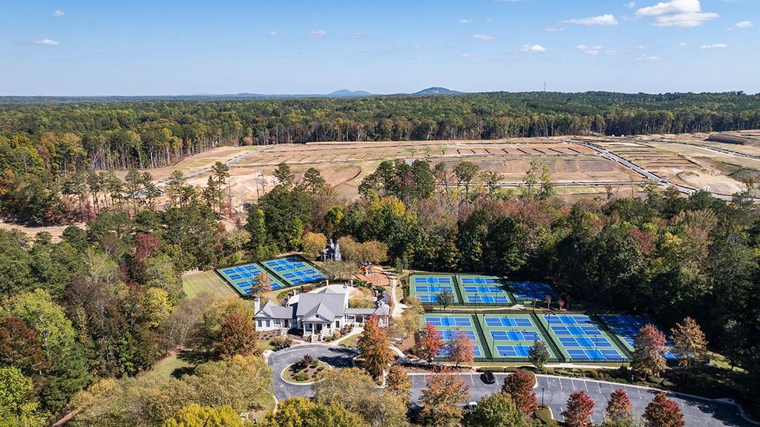 Aerial view of the Hamptons at Riverwood East community in Dallas, GA, showing layout and nearby surroundings (Image 1).