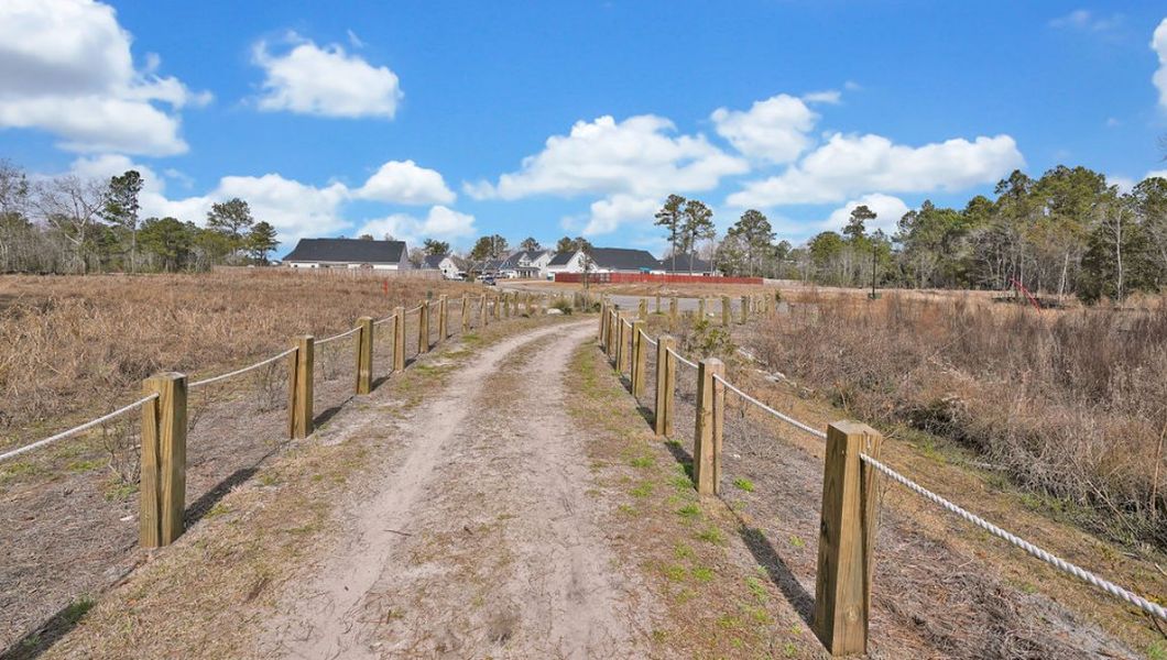 Natural surroundings and green spaces near The Preserve at Tidewater in Sneads Ferry, NC (Image 19).