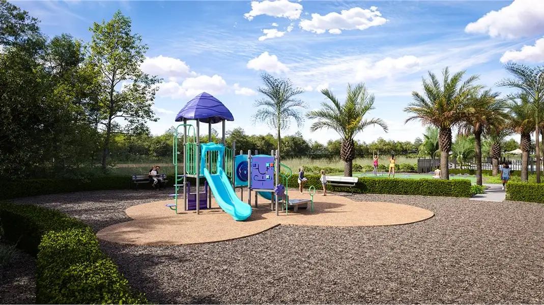 Willow Playground amenity Willow Playground amenity