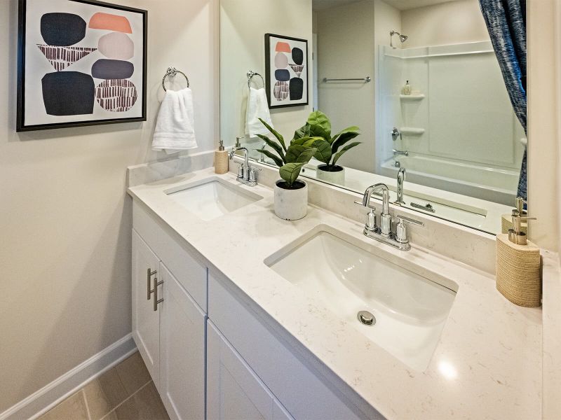 Welcome to the Johnson model at Collier Ridge.