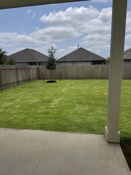 A spacious backyard with lush green lawn, wooden fence, and a young tree, perfect for outdoor activities and relaxation.