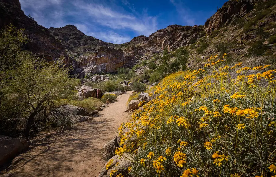 Natural surroundings and green spaces near Abel Ranch in Goodyear, AZ (Image 25). Natural surroundings and green spaces near Abel Ranch in Goodyear, AZ (Image 25).