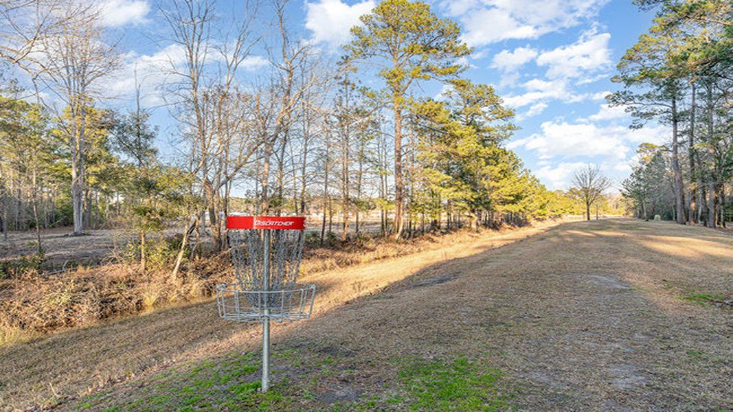 Image 13 of the Meadow Walk community in Loris, SC.