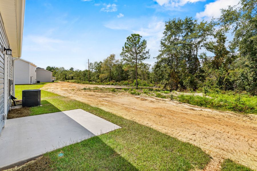 Image 24 of the Forts Ridge community in Pelion, SC.