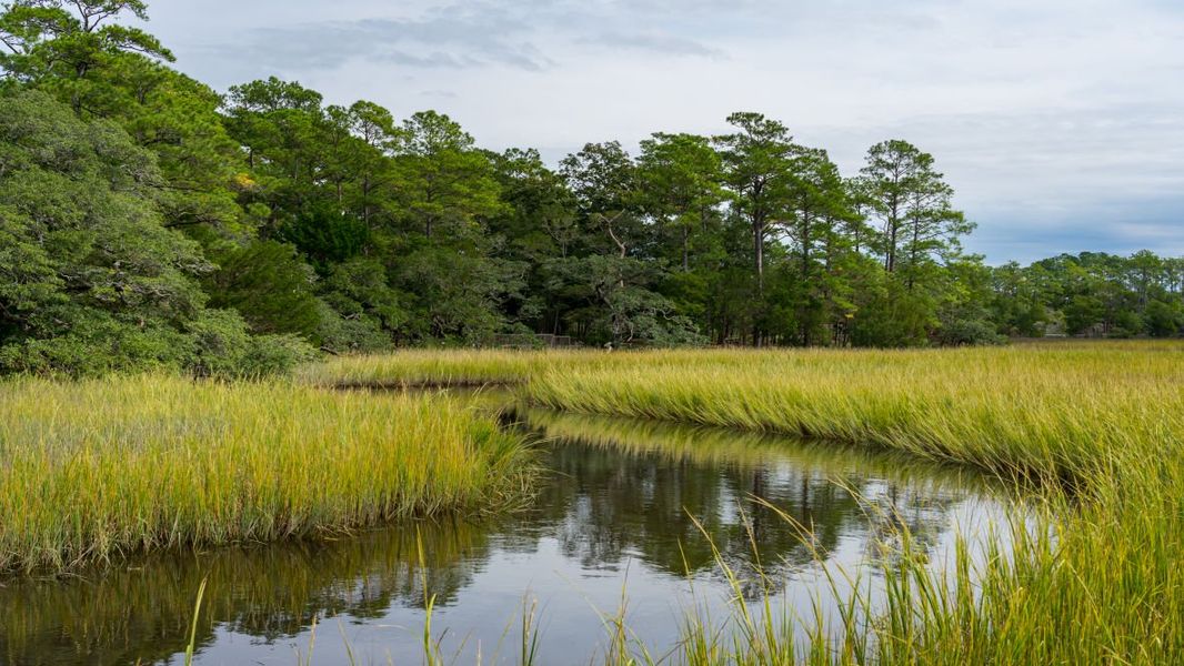 Image 17 of the Sandridge Park community in Little River, SC.