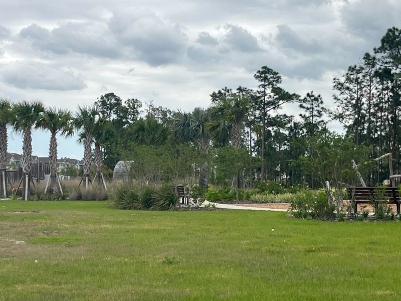 A serene landscape with lush greenery and palm trees in Harvest at Ovation - Townhomes by Rockwell Homes (Winter Garden, FL). A serene landscape with lush greenery and palm trees in Harvest at Ovation - Townhomes by Rockwell Homes (Winter Garden, FL).
