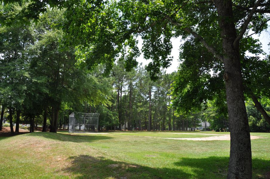 Natural surroundings and green spaces near Tributary III at the Park at River's Edge in North Charleston, SC (Image 10).