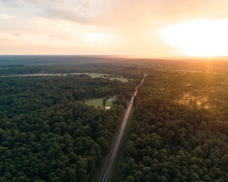 Natural surroundings and green spaces near Texas Grand Ranch in Huntsville, TX (Image 3).