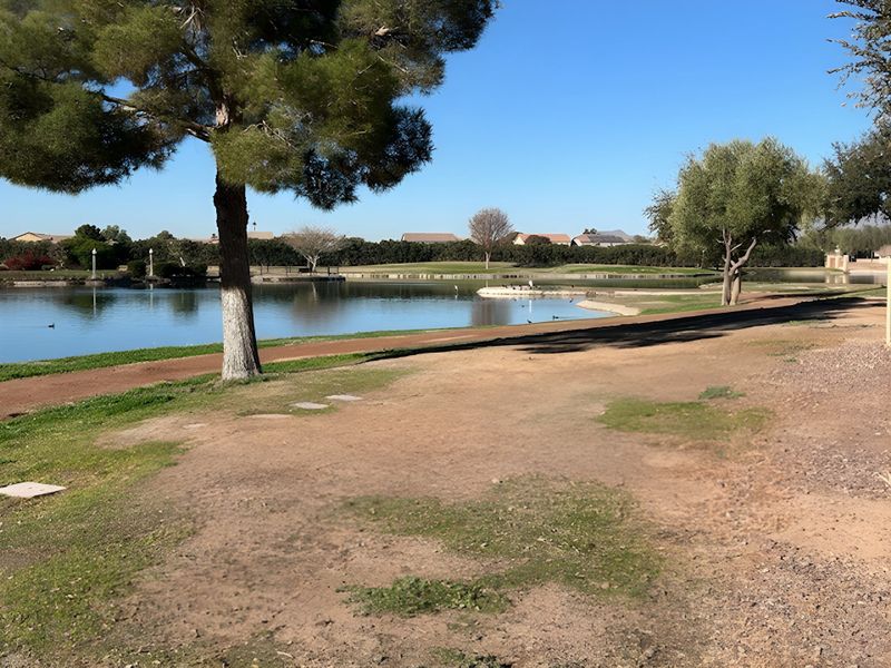 A serene lakeside view with trees and clear skies in The Preserve at Province II by Meritage Homes (Maricopa, AZ).