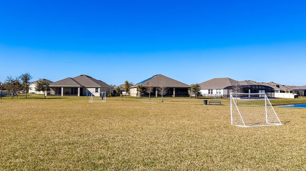 Soccer field