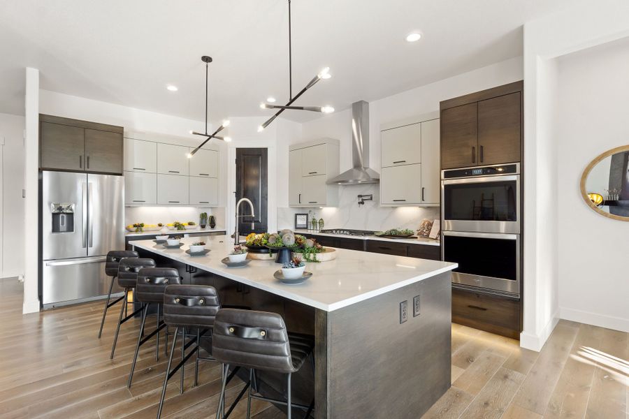 The Aurora Highlands,80019