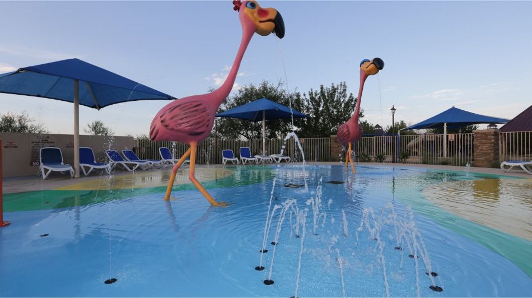 Rancho Sahaurita Swimming Pool