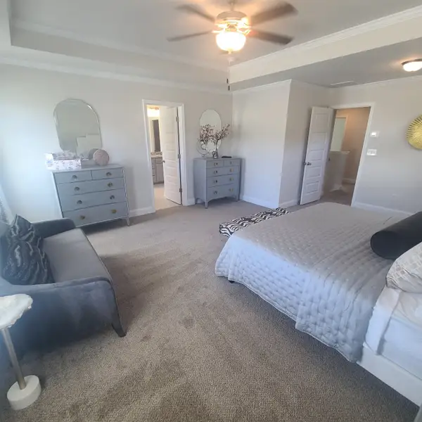 A spacious bedroom with cozy carpeting, elegant tray ceiling, gray dressers, and modern decor, creating a serene atmosphere.