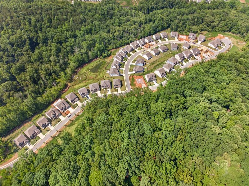Wooded lots Wooded lots