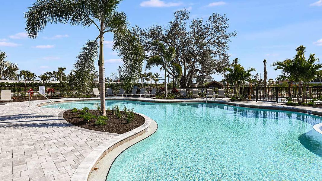 Image 79 of the Palmero community in Nokomis, FL. Image 79 of the Palmero community in Nokomis, FL.