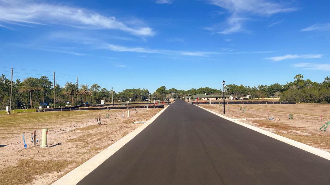 Site preparation and early development at Salt Pines in Port Saint Joe, FL (Image 4).