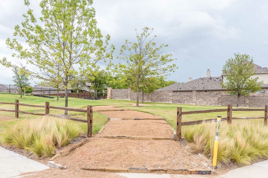 Image 13 of the Timber Creek: Artisan Series - 60ft lots community in McKinney, TX.