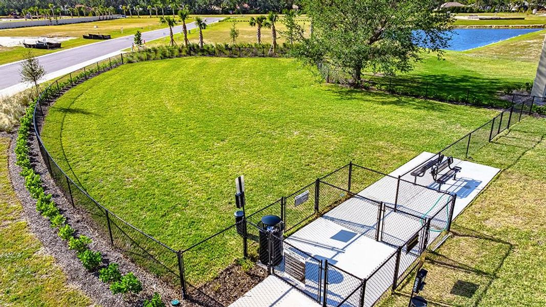 Community amenity available to residents of The Towns at Tiburon in Nokomis (Image 18).