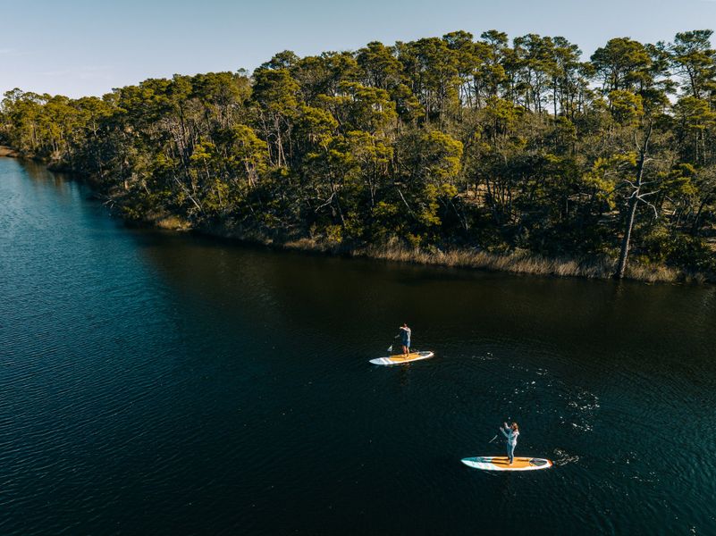 Natural surroundings and green spaces near The Villas at Longleaf Park, a Watersound Origins® community in Inlet Beach, FL (Image 47).