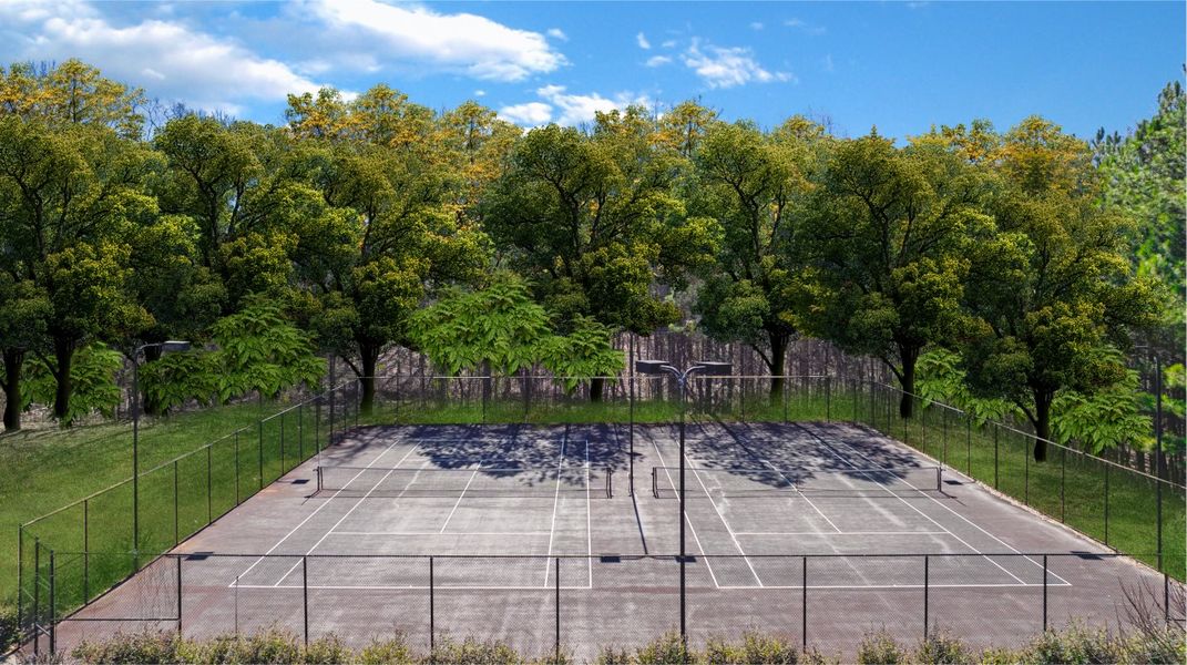 Willow Creek Willow Creek