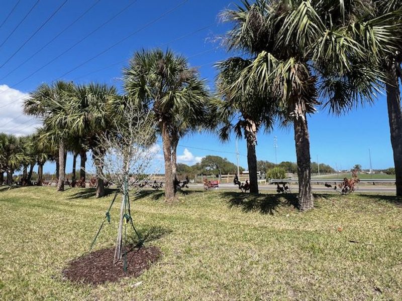 Natural surroundings and green spaces near Lakes At St Sebastian in Sebastian, FL (Image 55).