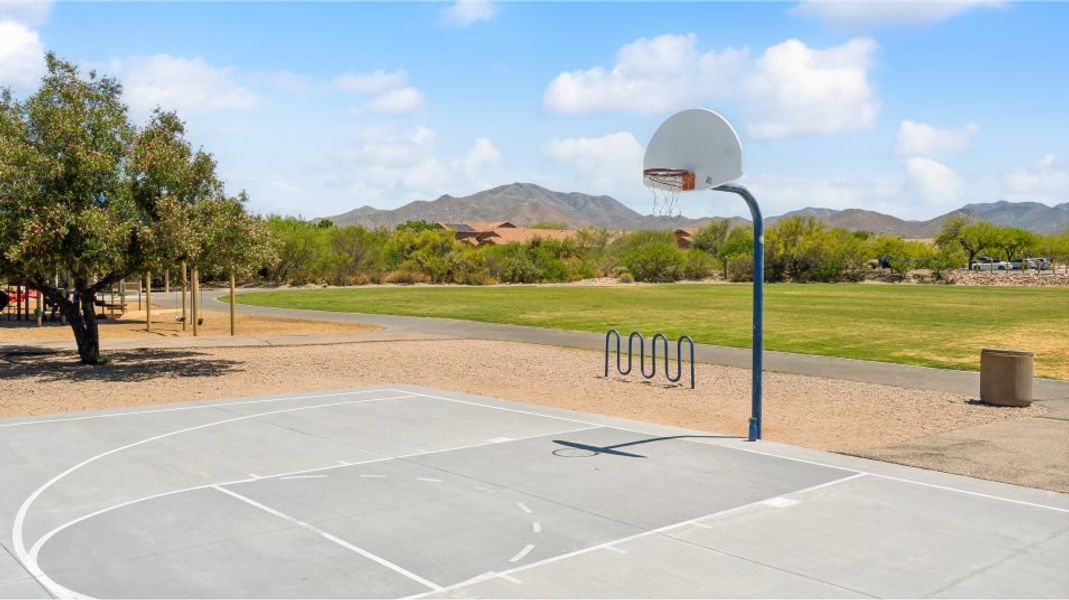 Basketball Court
