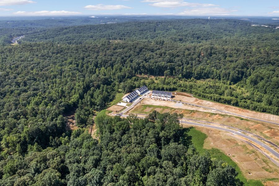 A landscape with trees and a road.