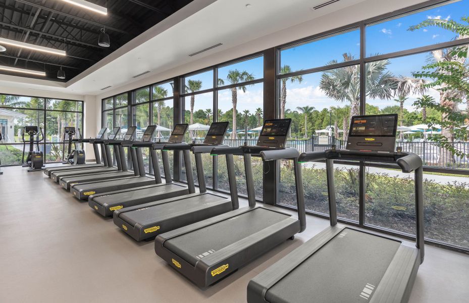 Treadmills with Scenic View