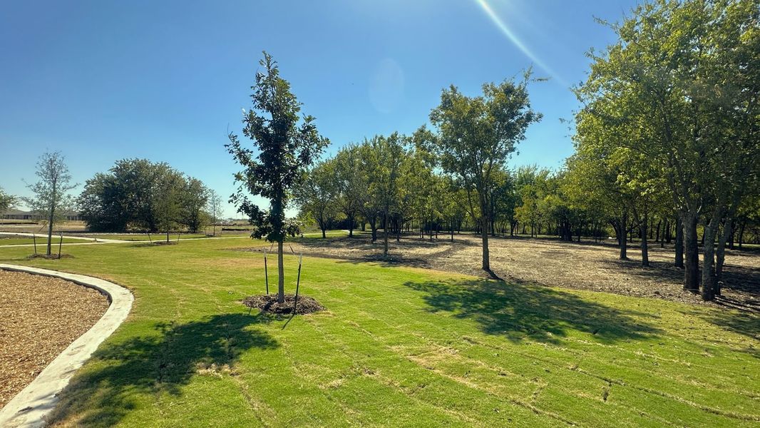 Natural surroundings and green spaces near Terra Trace in Crowley, TX (Image 54).