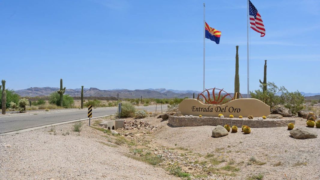 Entrance to the Entrada Del Oro community in Gold Canyon, AZ, featuring signage and landscaping (Image 8).
