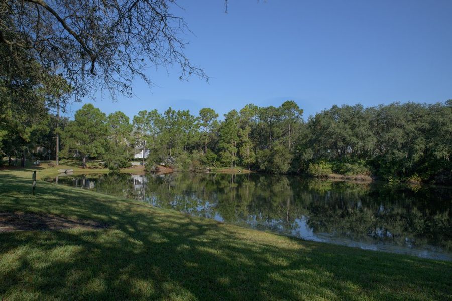 Community amenity available to residents of Amelia Park in Fernandina Beach (Image 3).
