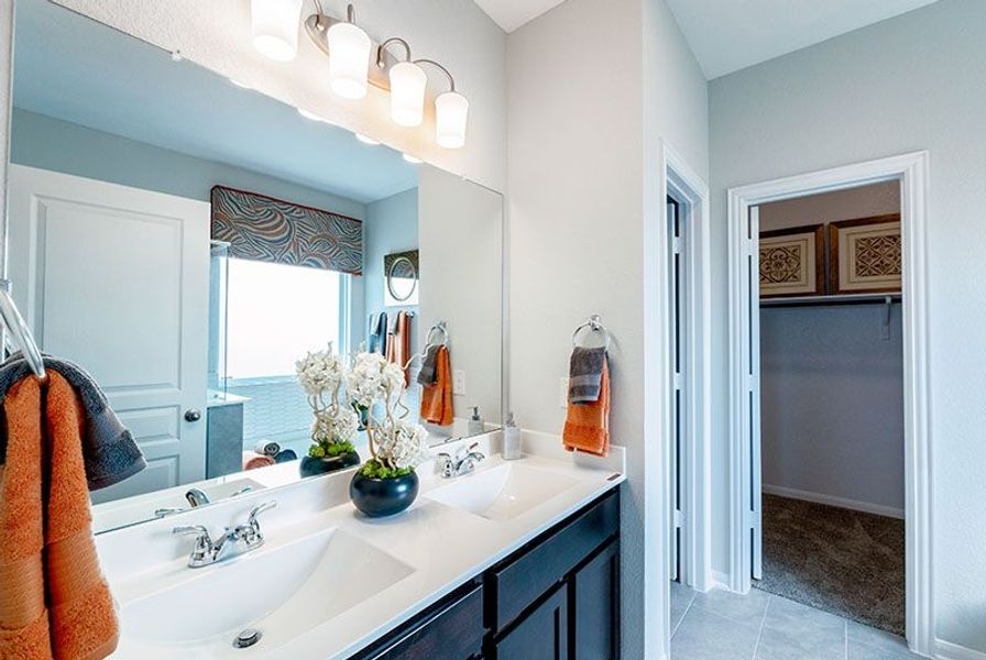 Image 12 of the Roman Forest community in New Caney, TX.