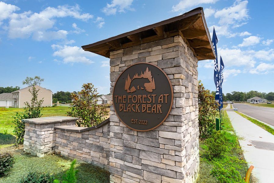 Entrance to the The Forest at Black Bear community in Longs, SC, featuring signage and landscaping (Image 1).