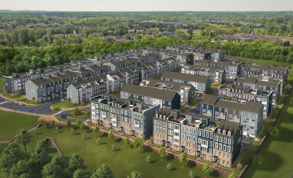 Neighborhood Rendering