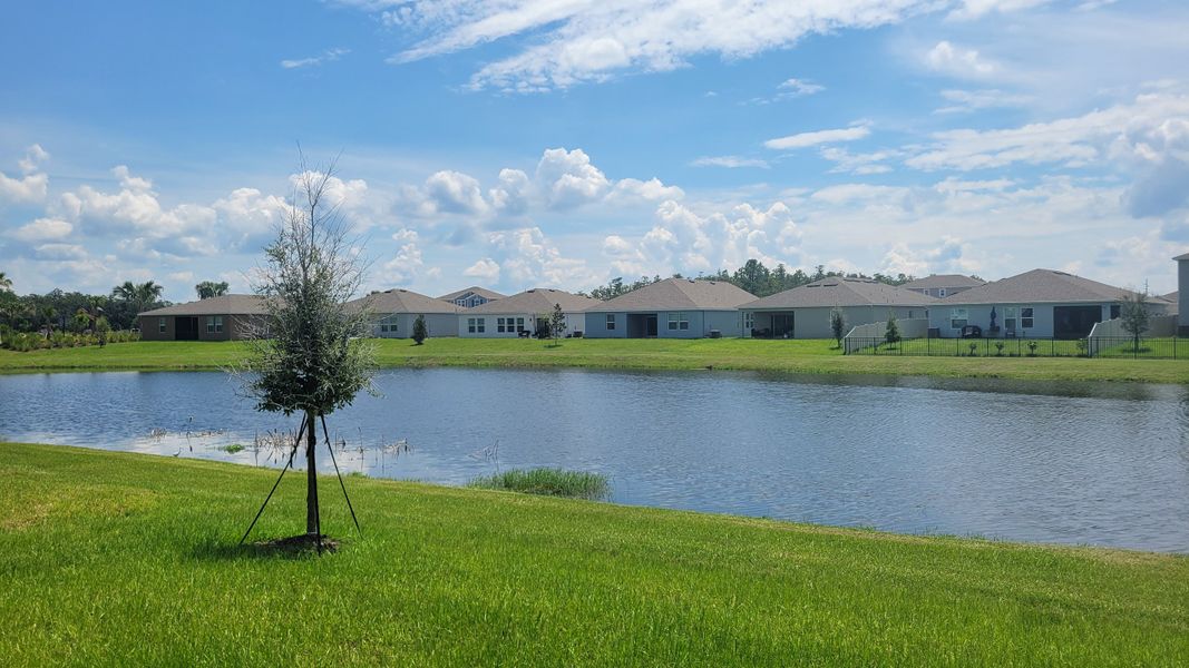Scenic lakeside homes with lush greenery at The Townhomes at Westview by Taylor Morrison (Kissimmee, FL).