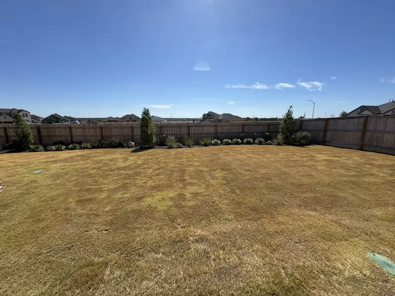 Expansive fenced backyard with lush lawn and young trees in Nolina by Chesmar Homes (Georgetown, TX).