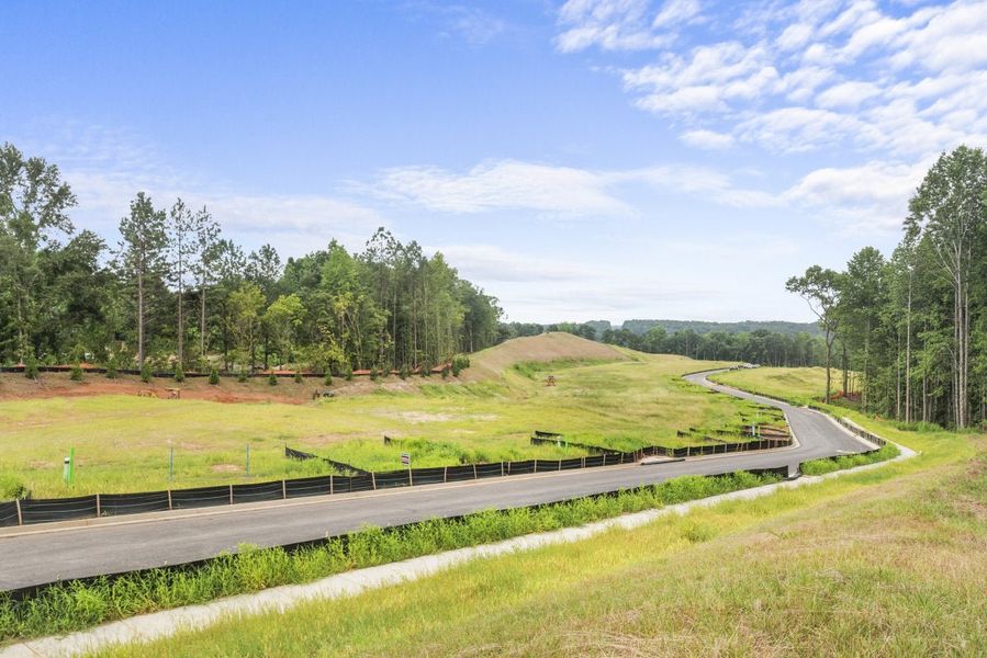 Natural surroundings and green spaces near Woodberry in Canton, GA (Image 38). Natural surroundings and green spaces near Woodberry in Canton, GA (Image 38).