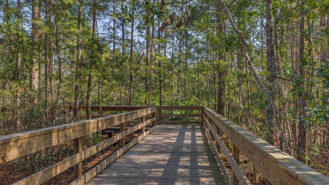 Image 33 of the Enclave at Treaty Oaks community in St. Augustine, FL.